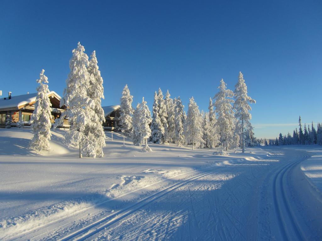 Rukakaiku Cottages Chambre photo